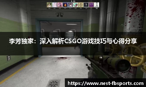 李芳独家：深入解析CSGO游戏技巧与心得分享